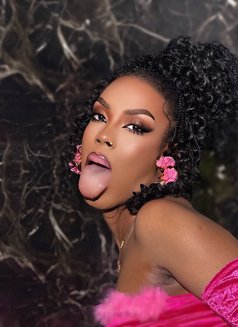 Chancelle - Transsexual escort in Abidjan Photo 11 of 12