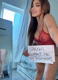 Chanel - escort in Dubai Photo 8 of 13