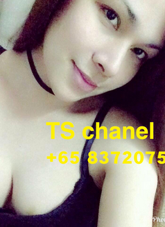 Chanel @Singapore - Transsexual escort in Singapore Photo 1 of 10