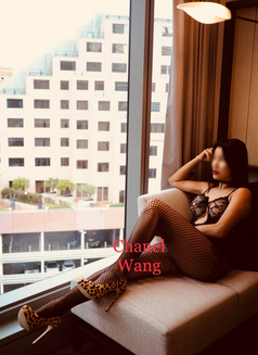 Chanel Wang - escort in Sydney Photo 3 of 4
