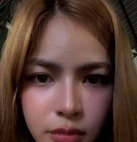 Chanelle - Transsexual escort in Angeles City