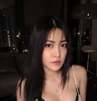 Changwon City - Transsexual escort in Busan