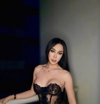 CAM ONLY - Transsexual escort in Doha