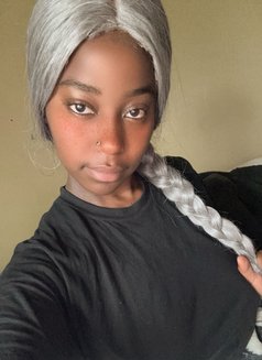 Chantel Barbie - escort in Erbil Photo 1 of 3