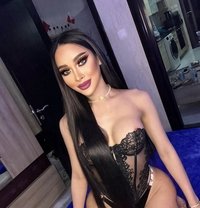 MiMi - Transsexual escort in Doha
