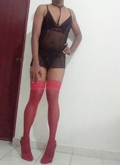 Charini Sissy - Acompañantes transexual in Colombo Photo 8 of 12