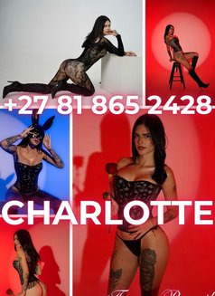 Charlotte - puta in Johannesburg Photo 1 of 14