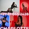 Charlotte - escort in Johannesburg