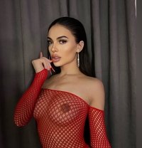 Charlotte - Transsexual escort in Brussels