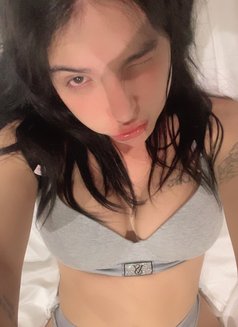 Charlotte ( just arrived ) - escort in Taipei Photo 21 of 24