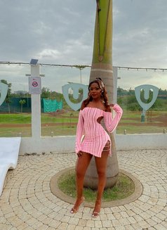 Charlotte ⚜️ Petite❣️Rim - puta in Nairobi Photo 22 of 27
