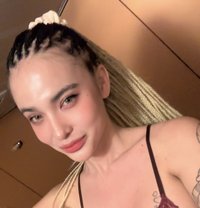 Charlotte The youngest girl in Taipei - escort in Taipei