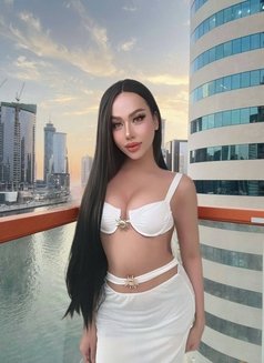 ⚜️ Charming Shemales in Downtown ⚜️ - Transsexual escort in Dubai Photo 14 of 14