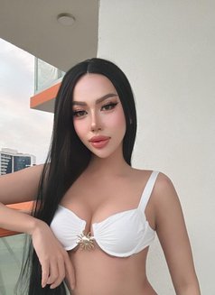 ⚜️ Charming Shemales in Downtown ⚜️ - Acompañantes transexual in Dubai Photo 19 of 22