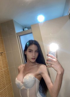 ⚜️ Charming Shemales in Downtown ⚜️ - Transsexual escort in Dubai Photo 6 of 12