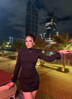 ⚜️ Charming Shemales in Downtown ⚜️ - Transsexual escort in Dubai Photo 8 of 13