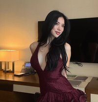 ⚜️ Charming Shemales in Downtown ⚜️ - Transsexual escort in Dubai