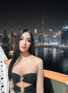 ⚜️ Charming Shemales in Downtown ⚜️ - Transsexual escort in Dubai Photo 23 of 23