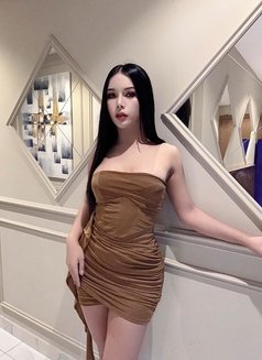 ⚜️ Charming Shemales in Downtown ⚜️ - Transsexual escort in Dubai Photo 27 of 28