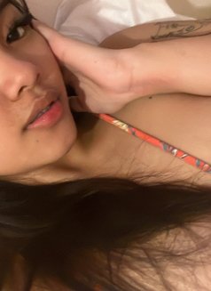 Cheetah - escort in Dubai Photo 6 of 6