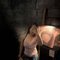 Chennai Adult Escort 24*7 Available - escort in Chennai Photo 4 of 4