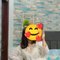 Chennai Aelisa Escort for Your Desire 🥵 - escort in Chennai Photo 3 of 3