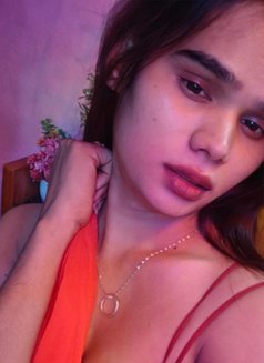 Chennai, Shemale With Big Boobs, Age 21 - Transsexual escort in Chennai Photo 1 of 7