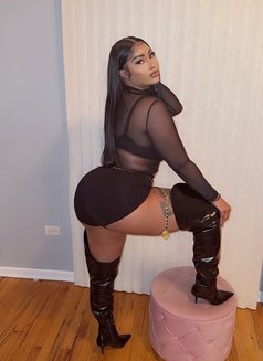 Cherish Beautiful♡ Lady in Erbil - puta in Erbil Photo 1 of 7