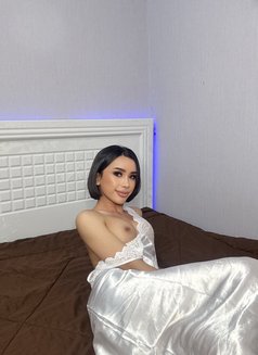 Chereeya Thailand 🇹🇭 New in Dubai🇦🇪 - Masajista in Dubai Photo 3 of 8