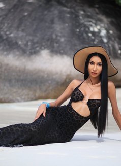 Cherry_Lalisa - Acompañantes transexual in Riyadh Photo 6 of 7