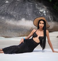 Cherry_Lalisa - Acompañantes transexual in Phuket