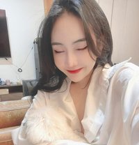 Cherry_Miuuu - companion in Bangkok