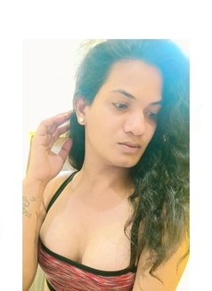 Cherry Sexy Shemale - Transsexual escort in Hyderabad Photo 2 of 6