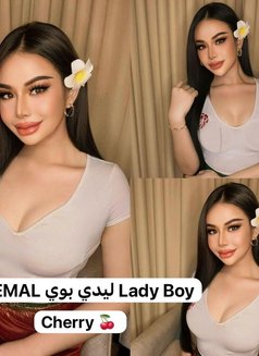 Cherry - Transsexual escort in Abu Dhabi Photo 28 of 29