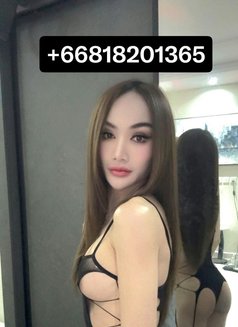 Cherry - Transsexual escort in Jeddah Photo 22 of 26