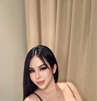 Cherry Vip Private Room - Transsexual escort in Abu Dhabi