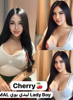 Cherry Vip Private Room - Transsexual escort in Abu Dhabi Photo 29 of 30