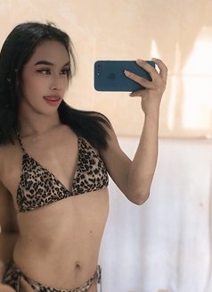 Chery Sweet - Transsexual escort in Bali Photo 6 of 8