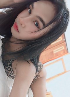 Chery Sweet - Transsexual escort in Bali Photo 4 of 7