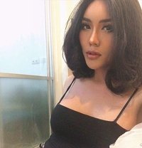 Cheryn - Transsexual escort in Bangkok
