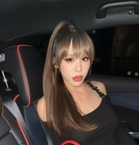 Cheryy - Acompañantes transexual in Bangkok