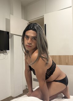 Cheska Fully Hard Femboy - Transsexual escort in Hong Kong Photo 1 of 2