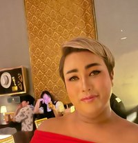 Chicha - Transsexual escort in Bangkok