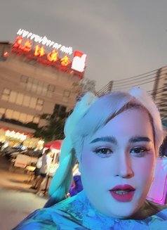 Chicha - Transsexual escort in Bangkok Photo 9 of 9