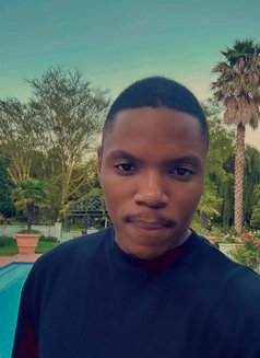 Chico Luciando - Male escort in Pretoria Photo 1 of 1