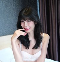 Chiffon - Acompañantes transexual in Bangkok