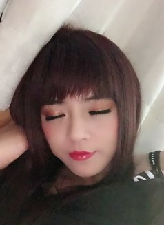 Chinese Doll Vanessa - Transsexual escort in Hong Kong Photo 1 of 1