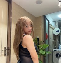 Chinese ladyboy Venus - Transsexual escort in Guangzhou