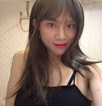 Ladyboy in now - Transsexual escort in Doha