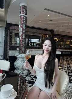 CHINESE MODEL GIRL - escort in Bangkok Photo 18 of 20